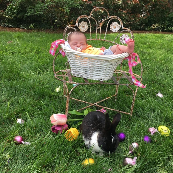 Hop on in for Added Discounts! - Picture 4 of 16